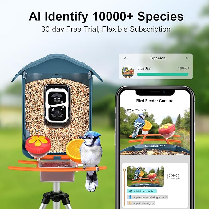 birdsnap® PAV-Bird Feeder with Camera 2K HD, 64GB Card, AI Identify Bird Species Smart Bird House with Camera Solar Powered, Record Video Live View, Auto Capture, Ideal Gift for Birds Lover