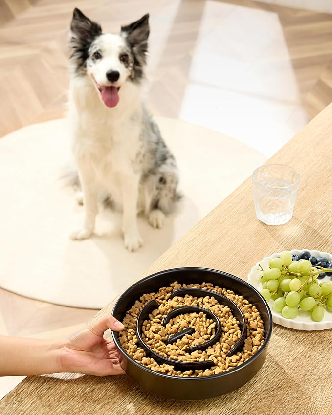 Ceramic Slow Feeder Bowls for Large Dogs, 3.0 Cups Slow Feeder for Fast Eaters, 48oz, 10in, Black