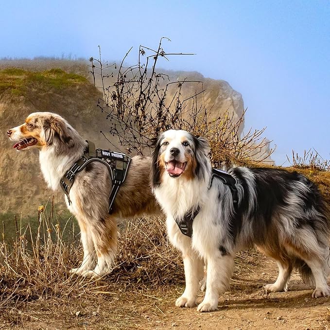 rabbitgoo Tactical Dog Harness for Large Dogs, No Pull Military Service Vest with Handle & Molle, Easy Control for Training Walking, Adjustable Reflective Straps, Black, L