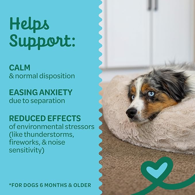 Dog Calming Bundle by Outward Hound – Includes Puzzle, Calming Chews, Plush Blanket & Chew Toys – Helps Relieve Anxiety from Fireworks, Thunderstorms, Travel & Guests – Enrichment for All Dog Sizes