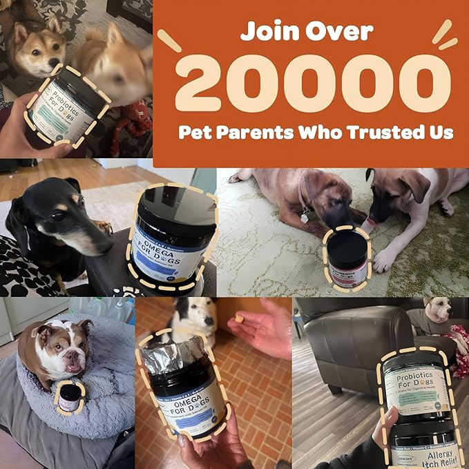 ZEBORA Probiotics for Dogs - Dog Probiotics, Pumpkin for Digestive & Gut Health, Digestive Enzymes & Prebiotic for Occasional Diarrhea, Support Immune, Skin & Allergies, 120 Soft Chews, Pumpkin Flavor