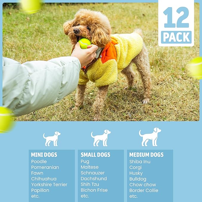 12 Small Tennis Balls for Dogs | 2 Inch Dog Fetch Toys for Your Smaller Pups | Non-Abrasive for Smaller Mouths | Interactive Dog Toys for Boredom & Fun | Works with Ball Launcher for Small Dogs