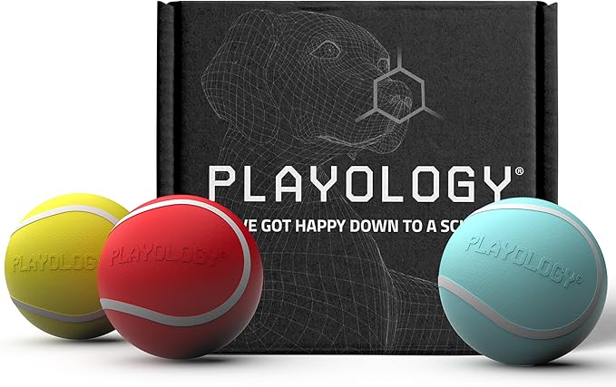 Playology Dog Toys | Rainbow of Scent Chew Toy Gift Box - Squeaky Chew Balls for Dogs | Peanut Butter, Chicken, & Beef Scented Toys - Easy to Clean and Made from Non Toxic Materials