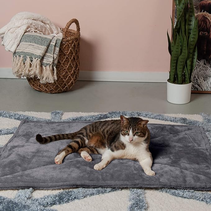 Furhaven ThermaNAP Self-Warming Cat Bed for Indoor Cats & Large/Medium Dogs, Washable & Reflects Body Heat - Quilted Faux Fur Reflective Bed Mat - Gray, Large