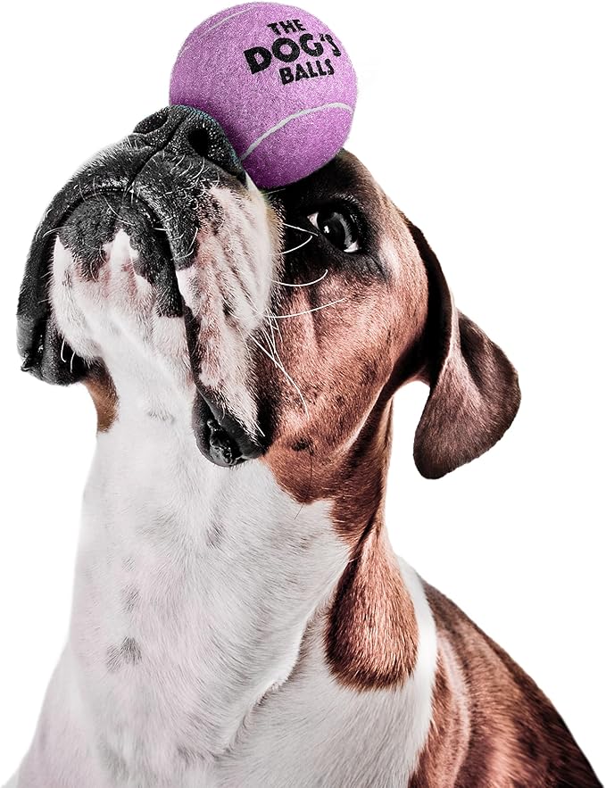 The Dog's Balls, Dog Tennis Ball, Lilac 12-Pack, Strong Toy for Agility Training, Puppy Training, Play, Exercise & Fetch, 2.5 Inch Diameter