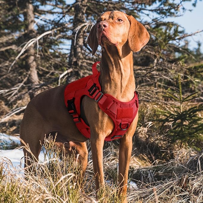 rabbitgoo Tactical Dog Harness Medium Sized, Heavy Duty Pet Harness with Handle, No-Pull Service Vest Medium Breed, Adjustable Military Dog Vest for Training Hunting Walking, Red, M