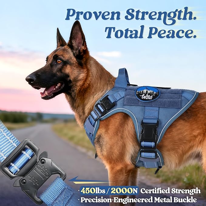 rabbitgoo Tactical Dog Harness Small Sized, No Pull Upgraded Reflective Heavy Duty Molle Vest with Handle, Adjustable Military Service Dog Vest for Walking Hiking Training, Blue, S
