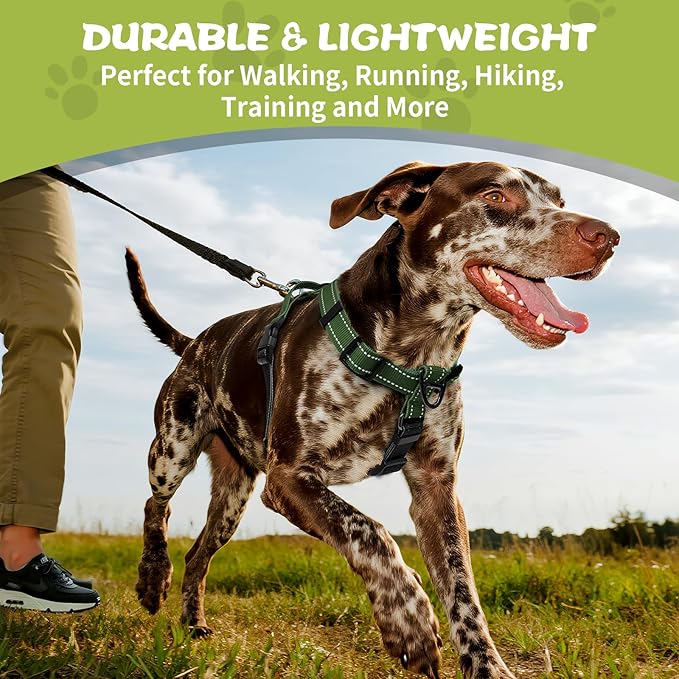 No-Pull Harness,Y-Shaped Design,Buckle-Neck Balance Harness with Reflective Stitching, Ideal for Dog Training and Night Walking, Padded Handle, Durable High-Tensile Nylon-Green-M