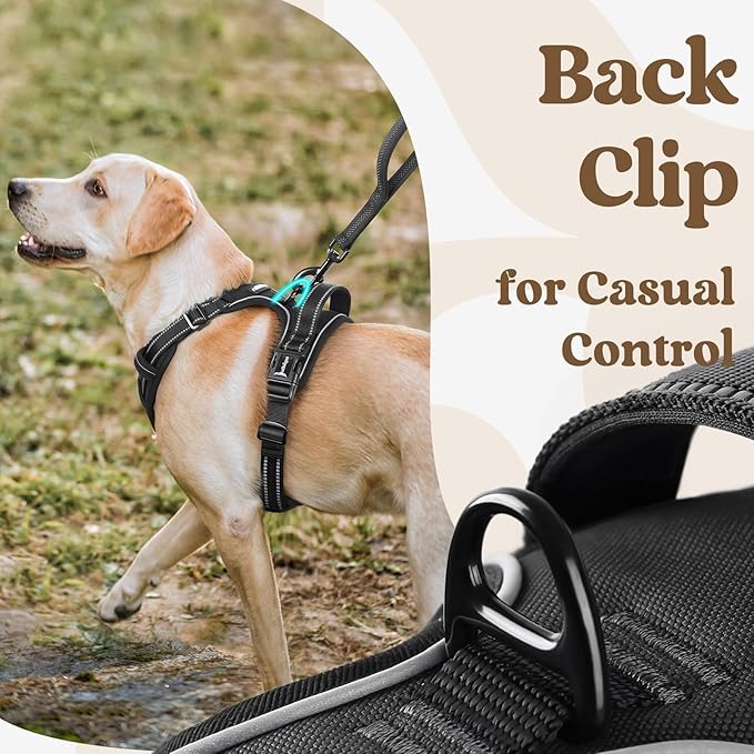 rabbitgoo Dog Harness Small Sized, No Pull Pet Harness with 3 Buckles, Adjustable Soft Padded Vest with Control Handle, Walking Reflective Pet Vest for Small Dogs, Black, S