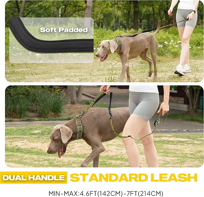 Fida 6-in-1 Hands Free Dog Leash Heavy Duty, Reflective Wasit Corssbody Dog Leash with Car Seat Clip | Adjustable for Running Hiking | Shock Absorbing Bungee, Dual Padded Detachable Handles (Green)