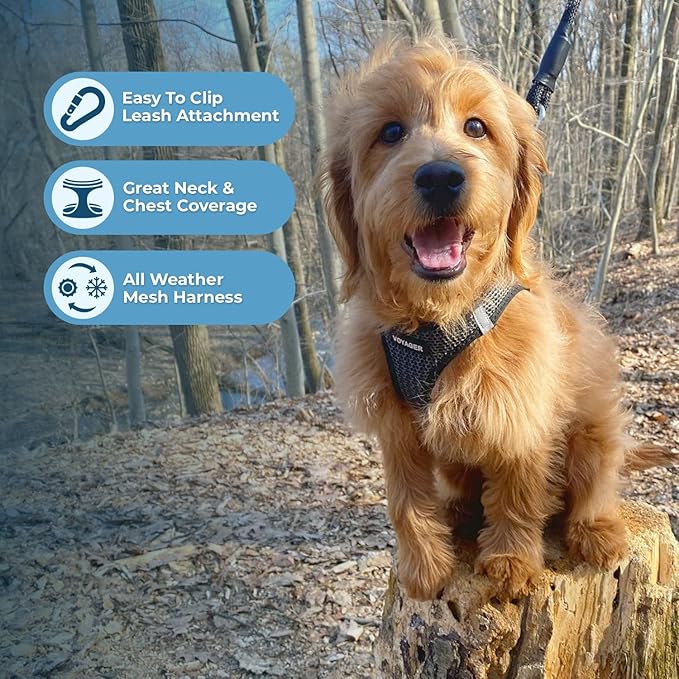 Voyager Step-in Air All Weather Mesh Harness and Reflective Dog 5 ft Leash Combo with Neoprene Handle, for Small, Medium and Large Breed Puppies by Best Pet Supplies - Gray (2-Tone), XL