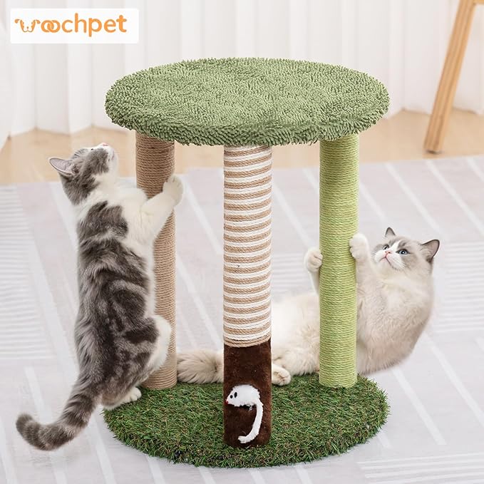 Cat Tree Tower with 3 Scratcher Posts 22inch Tall Cat Tree Sisal Scratching Posts with Fun Cat Toys for Kitty and Adult Cats Small Cat Tower and Perch Bed for Indoor Cats (Green)