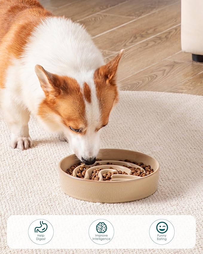 vancasso Slow Feeder Dog Bowl, 1.5 Cup Ceramic Slow Feeding Food Dish for Small and Medium Breed, Puzzle Dog Food Bowl for Fast Eater, Brown