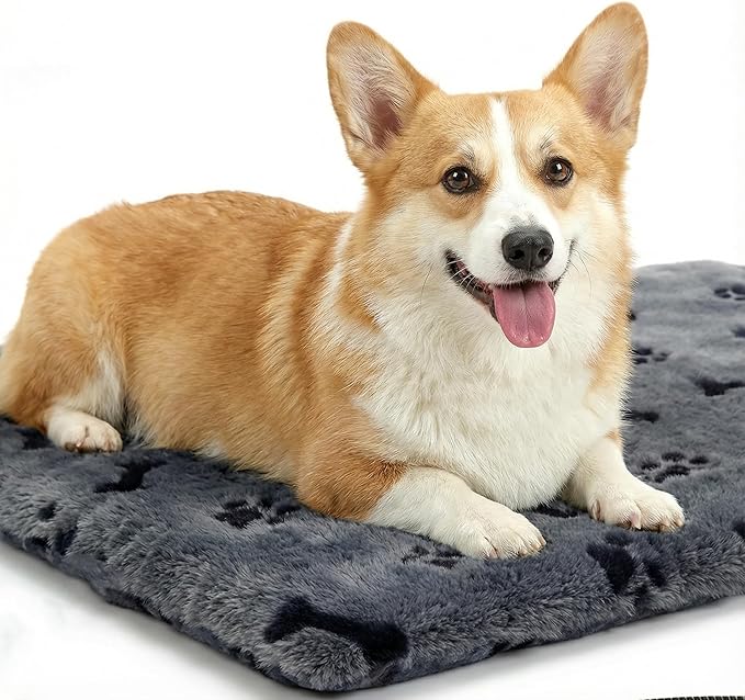 Pet Heating Pad for Cats Dogs, Heated Cat Dog Bed with 5 Temperature Levels, Timer, Auto Shut-Off, Thick Paw-Print Cover, Chew Resistant Cord for Indoor & Sheltered Outdoor Use (M: 20" x 16" x 1.3")