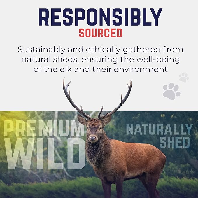 Devil Dog Pet Co. Elk Antlers for Dogs, Medium 5"+, 1 Pack, Grade A Long Lasting Chew for Aggressive Chewers, Premium USA Naturally Shed Antler – Healthy, No Odor, Durable Dog Chew