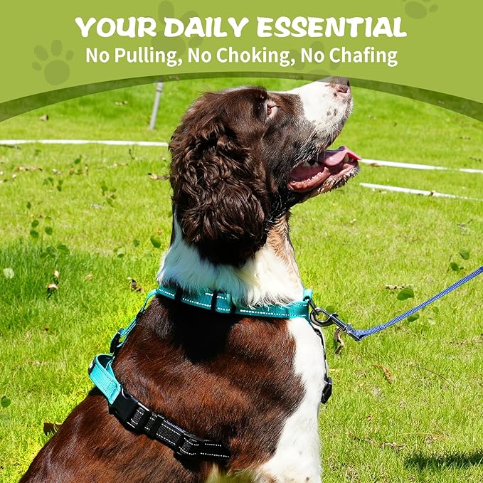 No-Pull Harness,Y-Shaped Design,Buckle-Neck Balance Harness with Reflective Stitching, Ideal for Dog Training and Night Walking, Padded Handle, Durable High-Tensile Nylon-Aqua Green-L