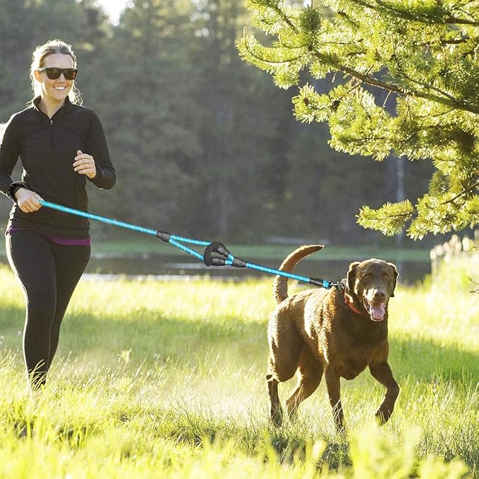 JSXD Heavy Duty Double Handle Dog Leash - 5 FT, Padded & Reflective, Rope for Small to Large Dogs (Blue)