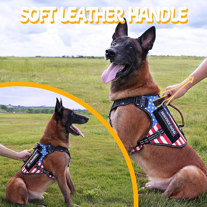 Service Dog Vest - HEYCAHVA Tactical Dog Harness Full Metal Buckles for Large Medium Dogs Reflective No Pull Dog Harnesses with Leather Handle, Hook & Loop for Hiking Training (Flag, M)