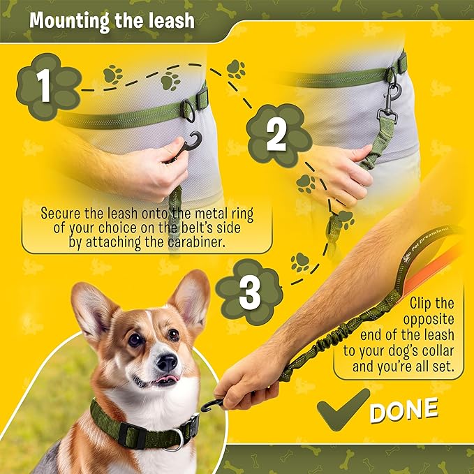 Exquisite Hands-Free Leash for Medium Dogs: Ultimate Comfort & Freedom for Running, Walking, Hiking. Premium Quality, Durable & Versatile Waist Dog Leash Belt. Your Dog Will Love It