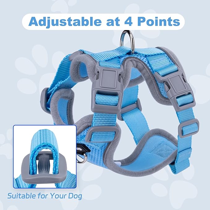 Small Dog Harness and Leash Set, No Pull Adjustable Pet Harness for Small Dogs, Breathable Mesh Rflective Dog Vest Harness (Light Blue, M)