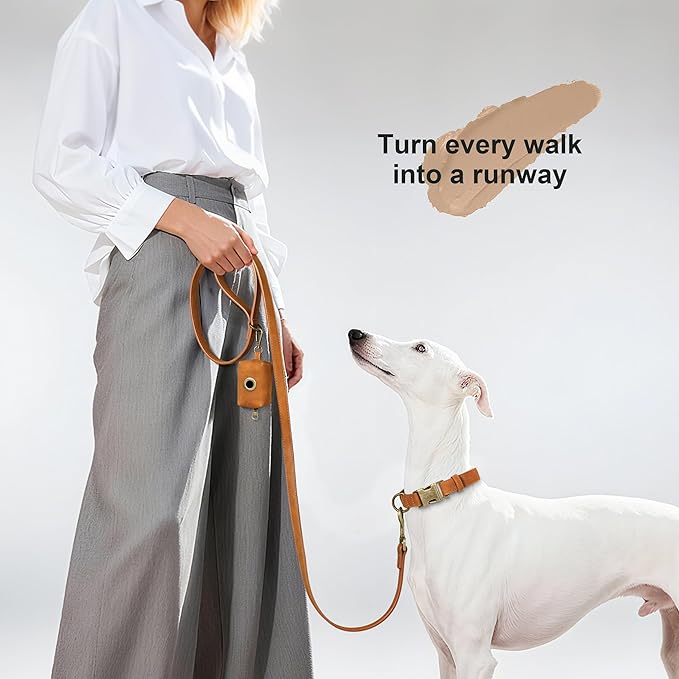 Didog Soft PU Leather Dog Collar, Stylish Quick Released Dog Collars for Medium Dogs, Easy Clean Adjustable Pet Collar for Daily Walking, Light Brown, M Fit 13-21" Neck