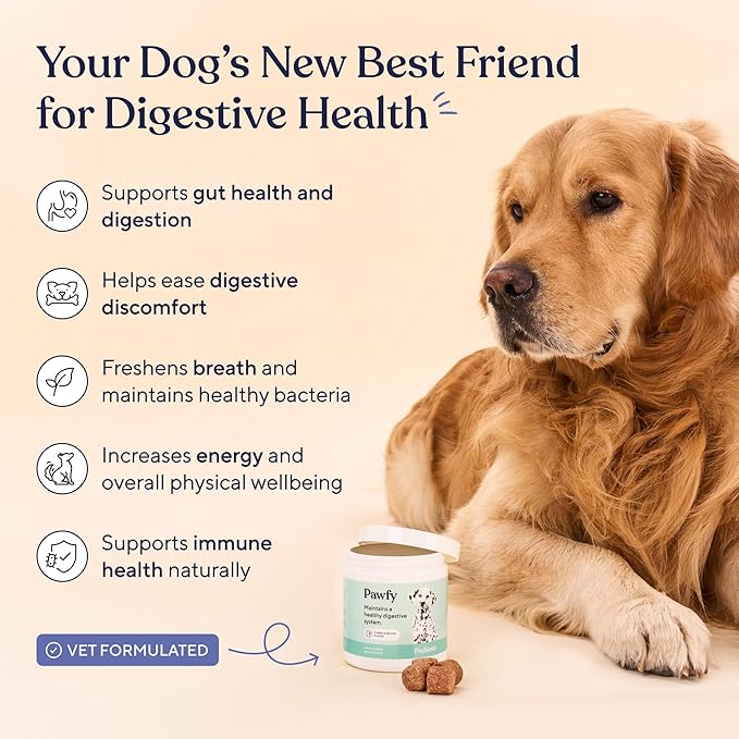 Pawfy Probiotics for Dogs | Supports Digestive Health, Diarrhea for Small, Large Dogs | Improves Gut Health | Anti Yeast Supplements | Skin Health Seasonal Allergies Support - 30 Chews (Bacon)