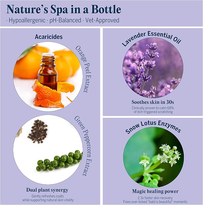 Pretty Kitty Waterless Cat Dry Shampoo with Grooming Glove– No Rinse, Lick-Safe, Moisturizing for Dry Skin, Dandruff, Deshedding, Wash Soap Spray Foam for Kittens, Bathing & Cleaning Supplies