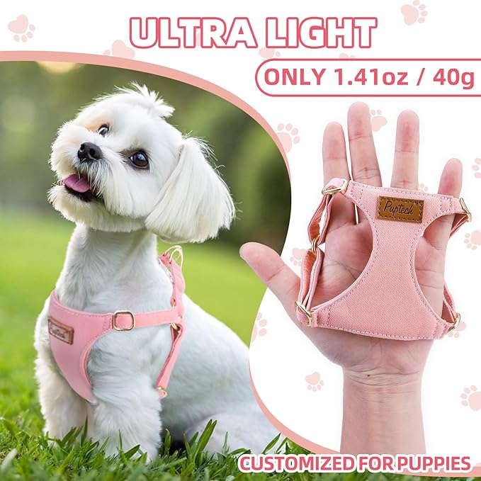 PUPTECK Dog Harness and Leash Set Small Sized, Step-in Cute Puppy Harness, Soft Lightweight Padded Vest, Escape Proof No Pull Pet Harnesses Easy for Walking, Pink, XS