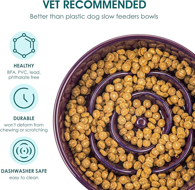 vancasso Slow Feeder Dog Bowl, 0.6 Cups Ceramic Dog Food Dish for Fast Eaters Small Breed, Puzzle Bowl for Small Dogs and Cats, Dark Purple