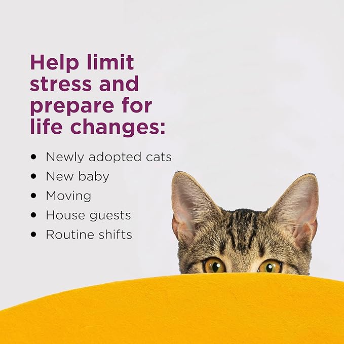 COMFORT ZONE Cat Calming Diffuser Refill, 6 Pack – Cat Calming Pheromone Refills Help Reduce Anxiety, Stress, Scratching, Urine Marking, Aggression, (30-Day Refills, 180-Day Supply)