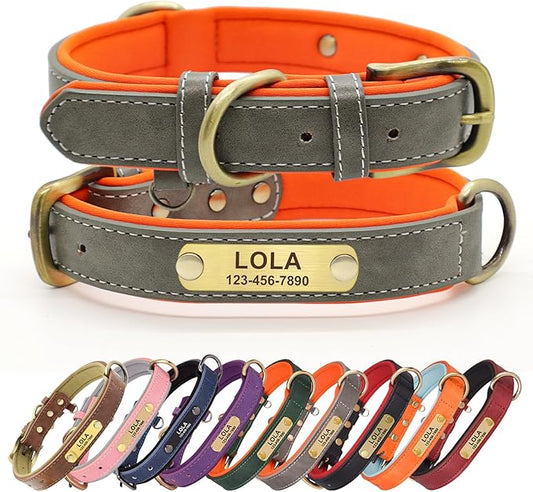 Personalized PU Leather Dog Collar with Custom Bronze Nameplate, Multi-Color, Soft Neoprene, Vintage Bronze Accessories, Optional Leash (Gary, XS (8-11 Inches))