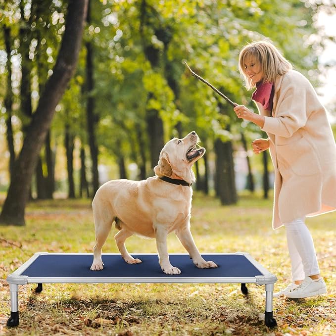 Veehoo Chew Proof Elevated Dog Bed - Cooling Raised Pet Cot - Silver Aluminum Frame and Durable Textilene Mesh Fabric, Unique Designed No-Slip Feet for Indoor or Outdoor Use, Blue, Large, CWC2003