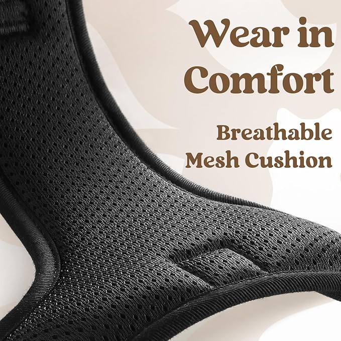 rabbitgoo Dog Harness Small Sized, No Pull Pet Harness with 3 Buckles, Adjustable Soft Padded Vest with Control Handle, Walking Reflective Pet Vest for Small Dogs, Black, S