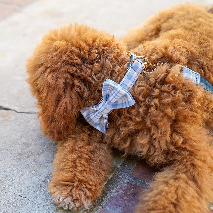 PETDURO Personalized Dog Collar Navy Blue Plaid for Large Medium Dogs | Engraved Name and Phone Number on Gold Metal Buckle for Boys | Add Leash & Bow Tie via Customize Now