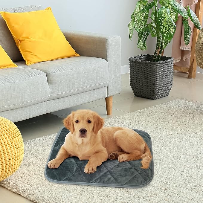 Self-Warming Cat Bed Indoor/Outdoor Super Soft Self Heating Pet Mat Washable Thermal Pad for Cat & Dog 29x19.6 inch