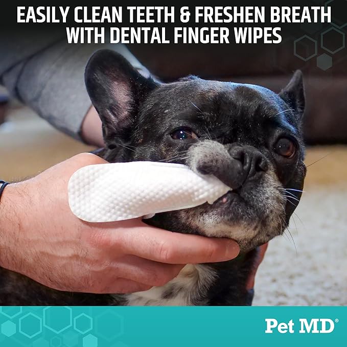 Pet MD Pet Dental Finger Wipes for Dogs - Plaque and Tartar Remover for Dogs to Improve Oral Care - Pet Teeth Cleaning Finger Wipes for Healthy Gums and Fresh Breath - Fresh Apple & Mint, 50ct