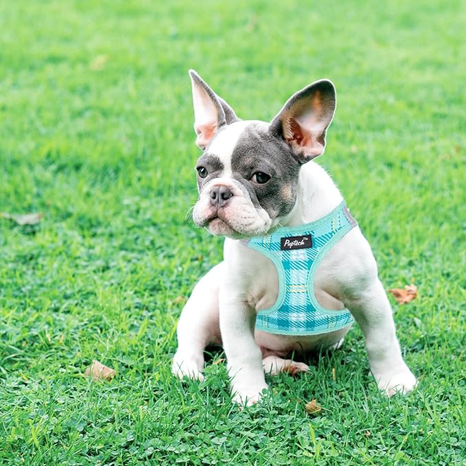 PUPTECK Dog Harness and Leash Set for Small Medium Dogs No Pull Step-in Soft Mesh Puppy Cat Vest Harnesses Reflective at Night, Plaid Pattern Green M