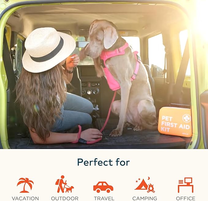 Dual First Aid Kit Bundle – Home, Travel, and Outdoor Emergency Essentials