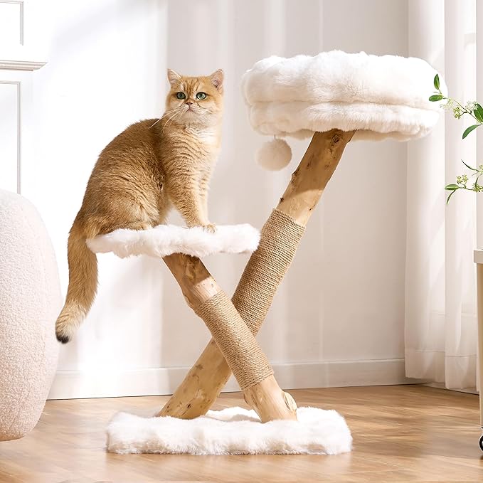 Natural Wood Cat Tree for Indoor Cats Adults, 33in Modern Cat Tree Tower with Super Soft Plush Cat Bed & Perch, Sisal Scratching Posts and Hanging Plush Ball, Ivory White