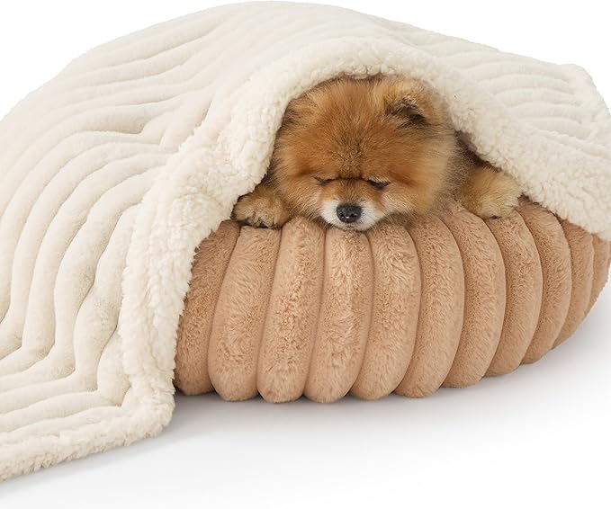Bedsure Waterproof Dog Blankets for Small Dogs - Soft Puppy Cat Blanket Corduroy Fleece Washable, Cozy Calming Reversible Furniture Protection for Pet Kitten Doggy,25"x35", Cream