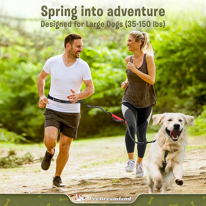 Exquisite Hands-Free Leash for Large Dogs: Ultimate Comfort & Freedom for Running, Walking, Hiking. Premium Quality, Durable & Versatile Waist Dog Leash Belt. Your Dog Will Love It