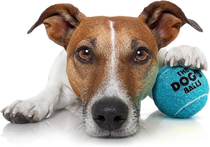 The Little Dog's Balls, Dog Tennis Balls, Blue 6-Pack, Strong Toy for Agility Training, Puppy Training, Play, Exercise & Fetch, 1.9 Inches Diameter