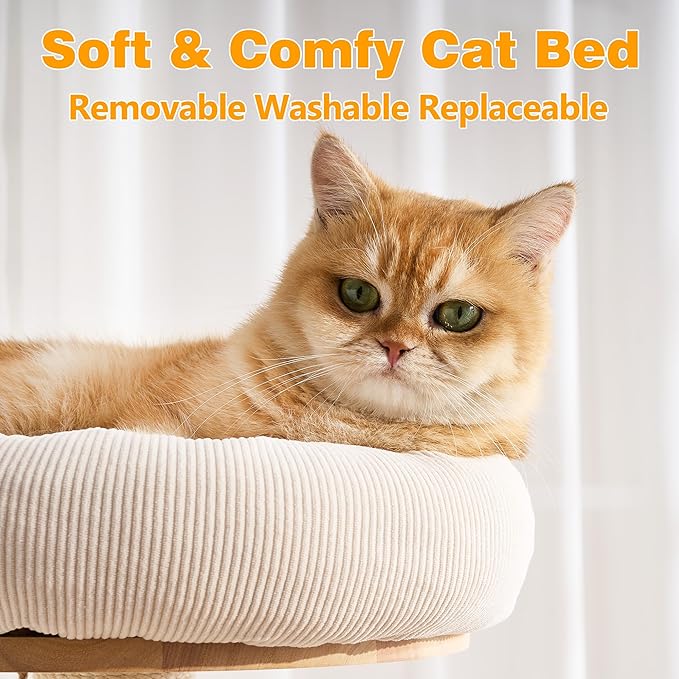 Cat Tree Modern Cat Tower for Large Cat with Scratching Post for Indoor, Solid Wood Multifunctional Cat Tower with Condo, Bed, Ladder, Space Capsule, Dangling Ball