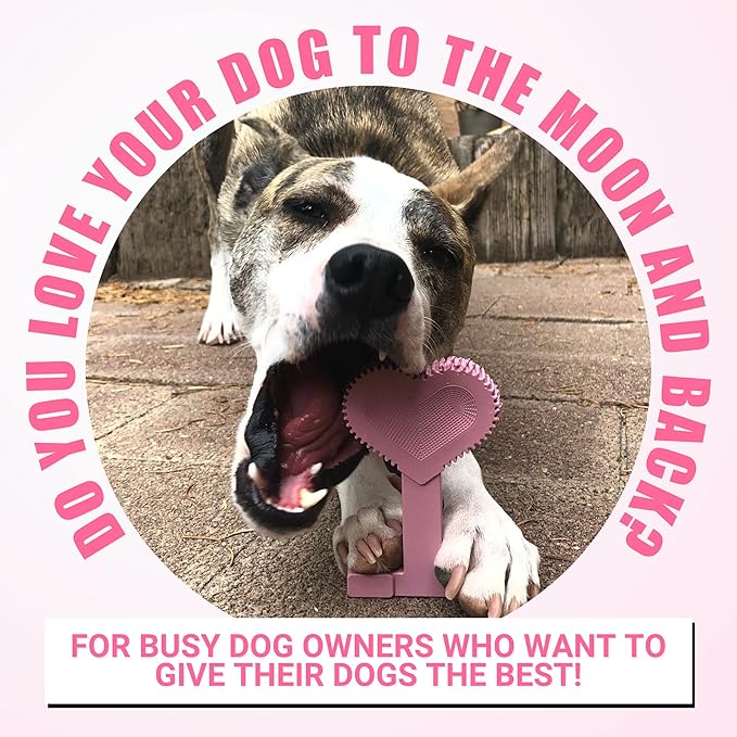 Bullibone Nylon Dog Chew Toy for Aggressive Chewers - Dental Hygiene Bone with Peppermint Flavor, Durable Tough Chew Toys for Large Dogs, Indestructible Dog Bone - Single