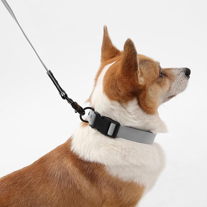 WLK1005N-5SET Luna Medium 8FT Adjustable 6-in-1 Waterproof Hands-Free Leash and Collar with LED Flashlight, Bag Dispenser, and Poop Bag Holder, Martini