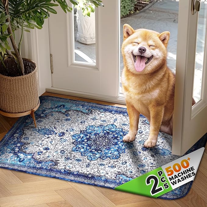 Hompet 2 Pack Super Absorbent Dog Door Mat for Muddy Paws, Washable Pee Pads for Dogs, Reusable Puppy Training Pads, Quick Dry Non-Slip Pet Entryway Rug, Leak-Proof Potty Pad for Indoor Floors 19x30