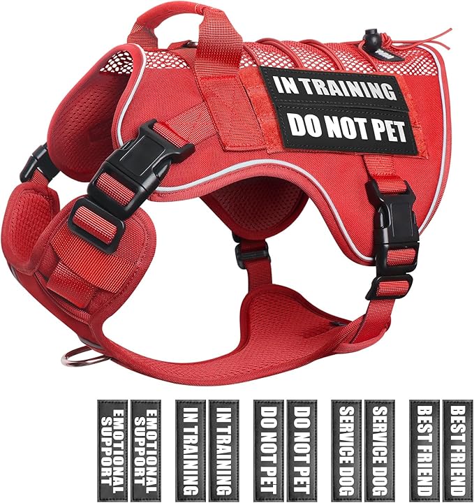 WINSEE Service Dog in Training Mesh Harness with 10 Pet Patches, Soft Air Mesh Breathable Tactical Dog Molle Vest, Reflective Military Pet Vest for Walking Hiking for Medium Dogs