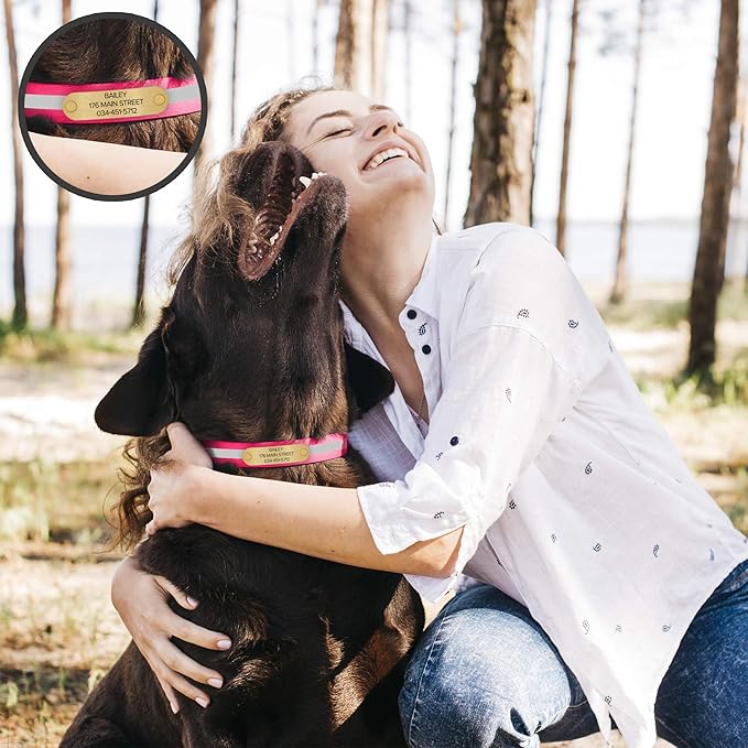 Regal Dog Products Medium Pink with Custom Engraved Waterproof Dog Collar and Leash Set | Waterproof Dog Collar with D Ring | Center Ring & 5'ft Leash | Matching Dog Collar and Leash for Dogs