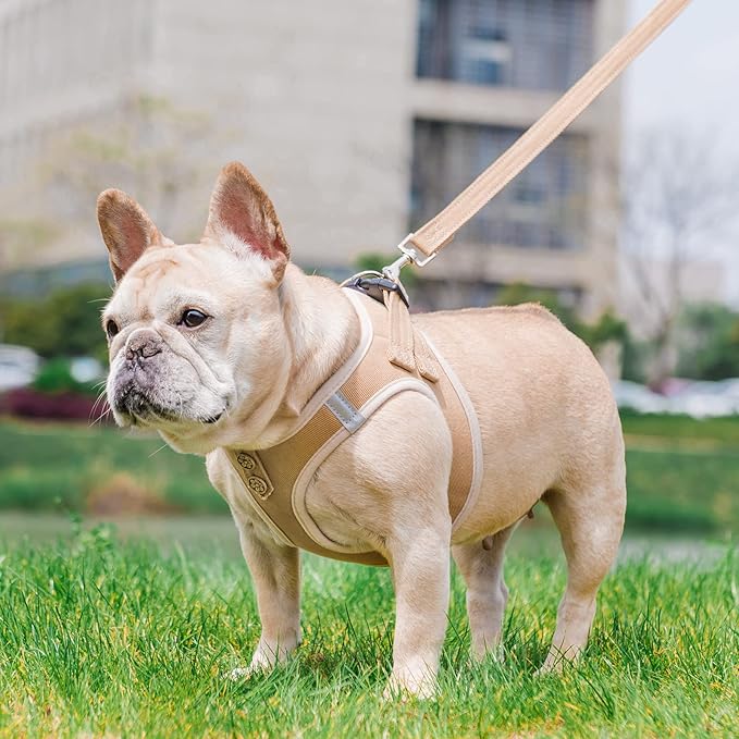 PUPTECK Dog Harness and Leash Set for Small Medium Dogs No Pull Step-in Soft Mesh Puppy Cat Vest Harnesses Reflective at Night, Denim Beige S