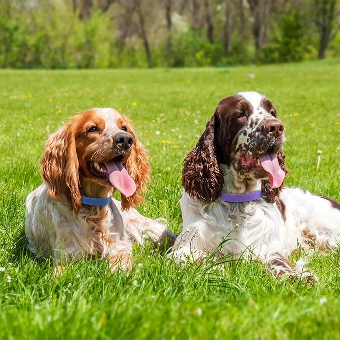 Replacement Collar for Shock Collar, Stylish & Comfortable Nylon Dog Collar with Quick Release Buckle, Compatible with PetSafe Bousnic Sportdog Garmin Ecollar Replacement Strap (Purple & Blue)